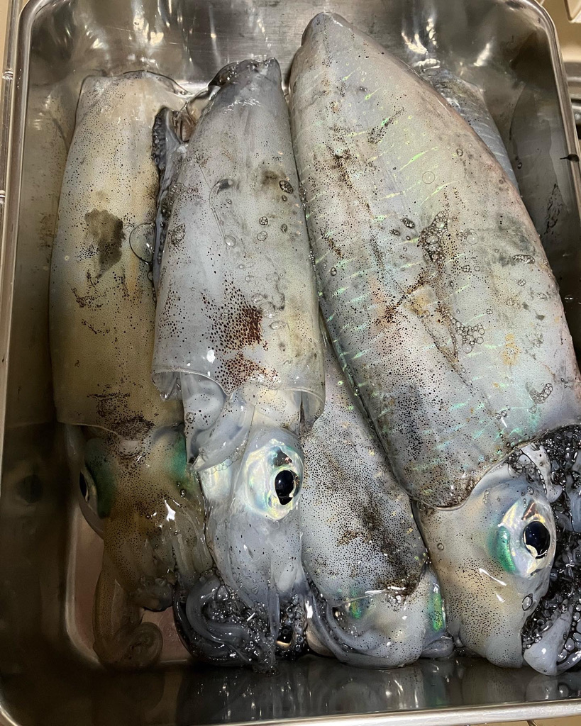 噂通りの絶好調?