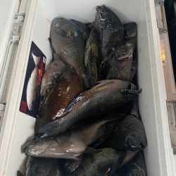 クロ釣り練習❗️