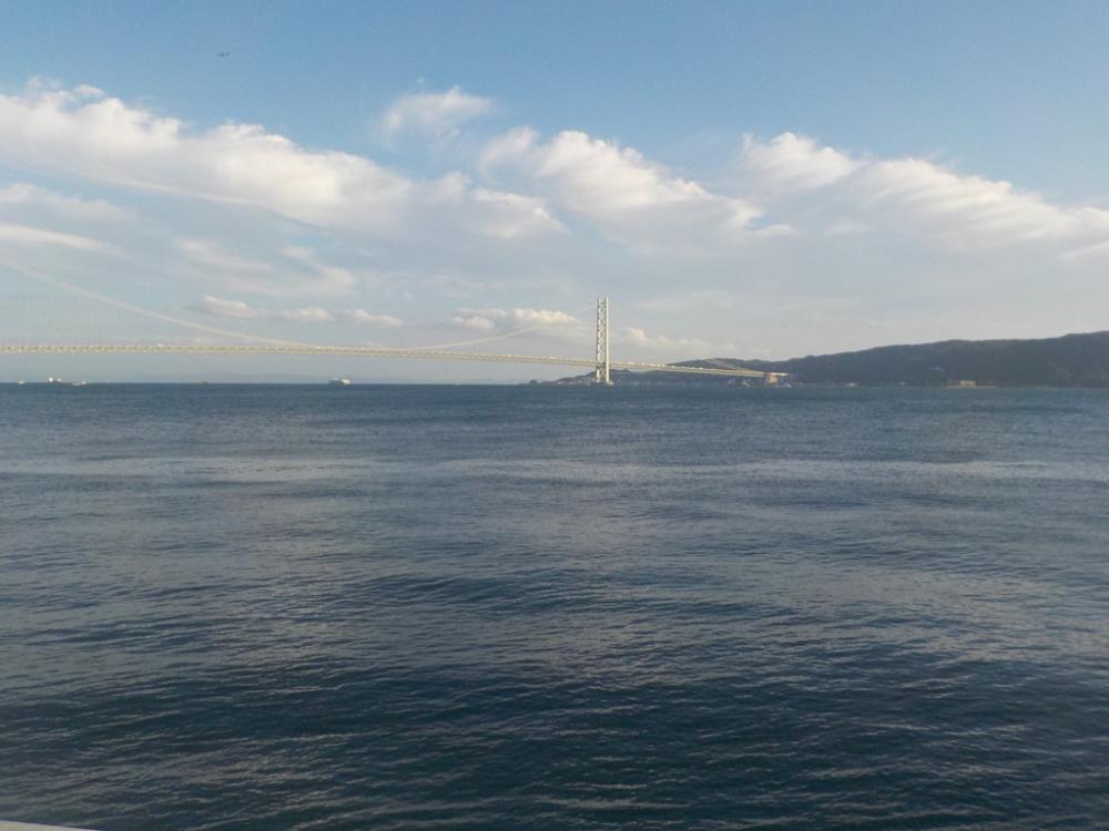 グレ釣りのはずが・・・