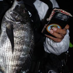 シーバス狙いも・・・