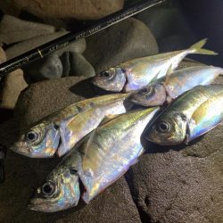 フロートゲーム