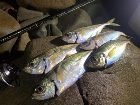 フロートゲーム