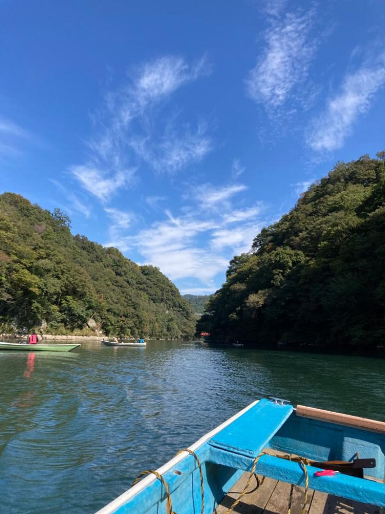 やっぱりワカサギ！