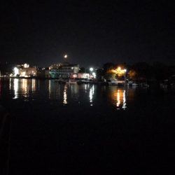 南紀のアジング!!