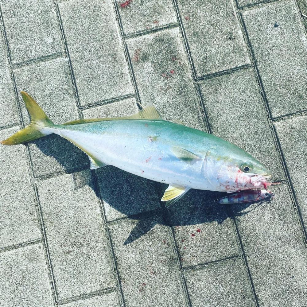 SWコスモ弍番隊〜ジャークな日々〜