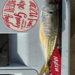 パターンを探す釣り