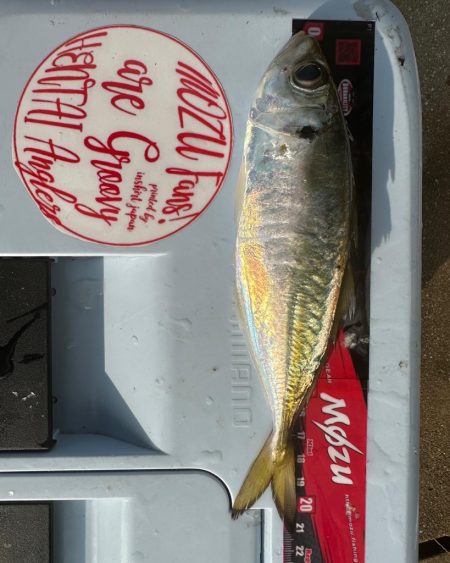 パターンを探す釣り