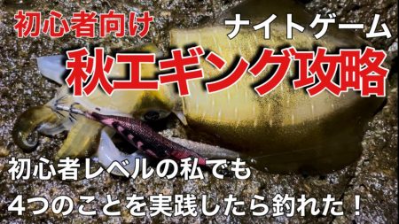 このカラーが強すぎる