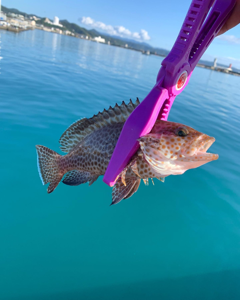 ダイソー最高!!