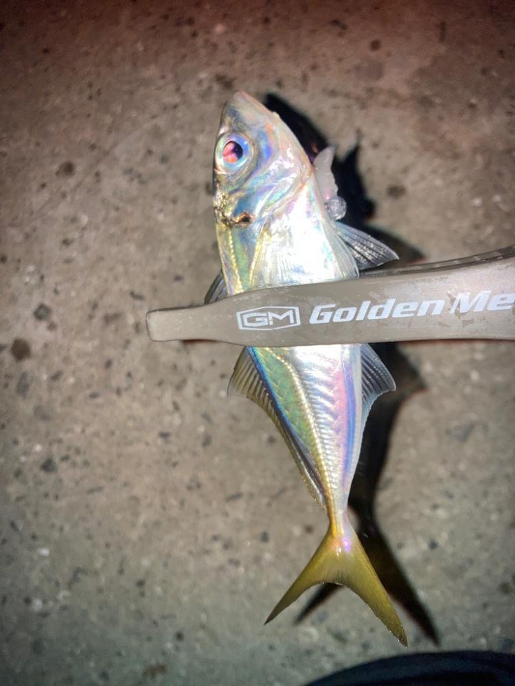 むずかしいアジング