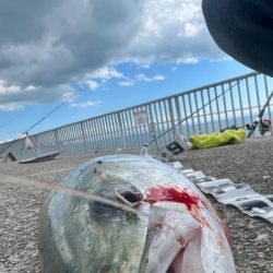 激渋の中の1本、、