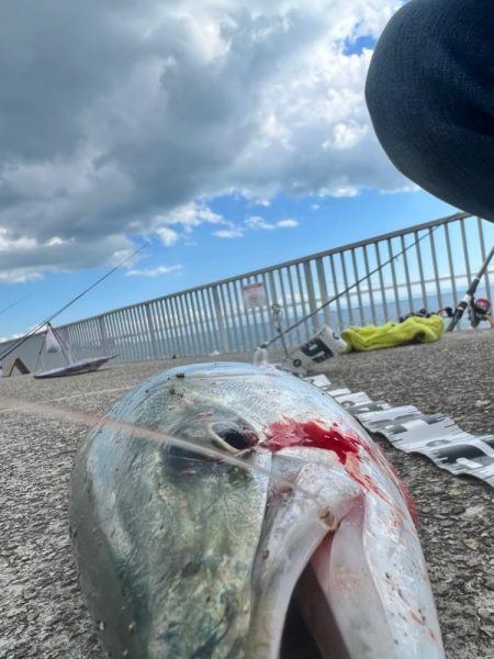 激渋の中の1本、、