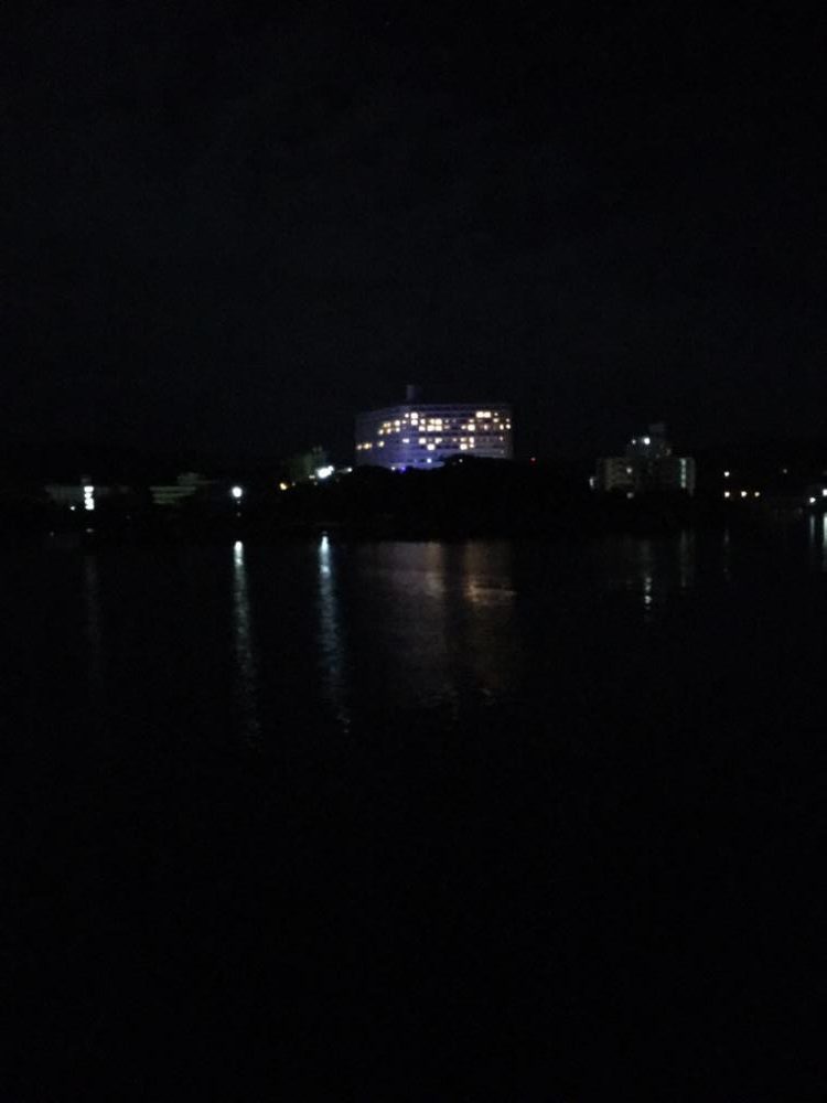 深夜の太刀魚調査!