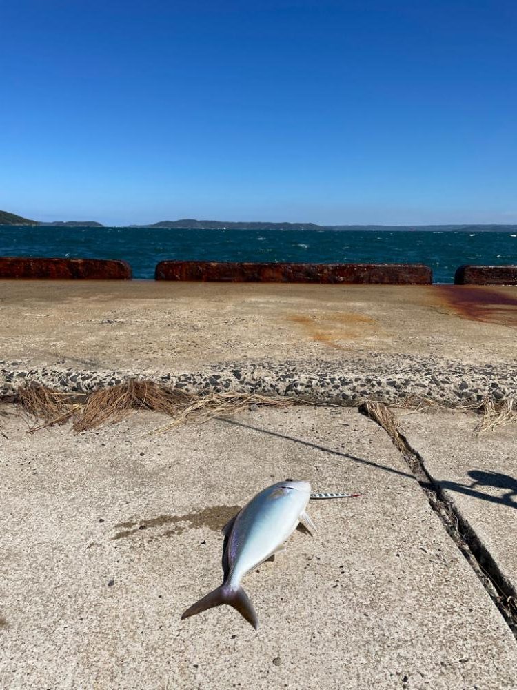 ライトショアジギング