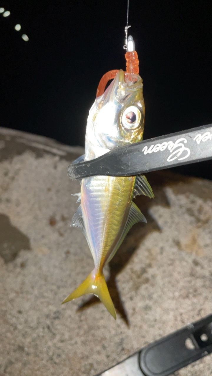 オンスタックル新製品モニター