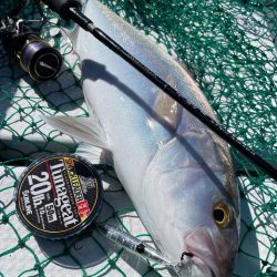 秋のSLJスーパーライトジギング