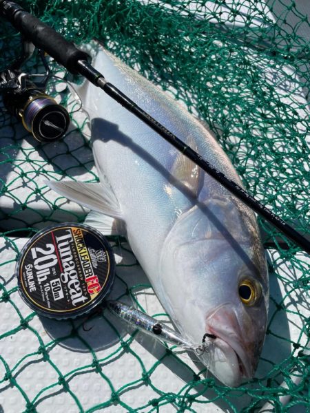 秋のSLJスーパーライトジギング