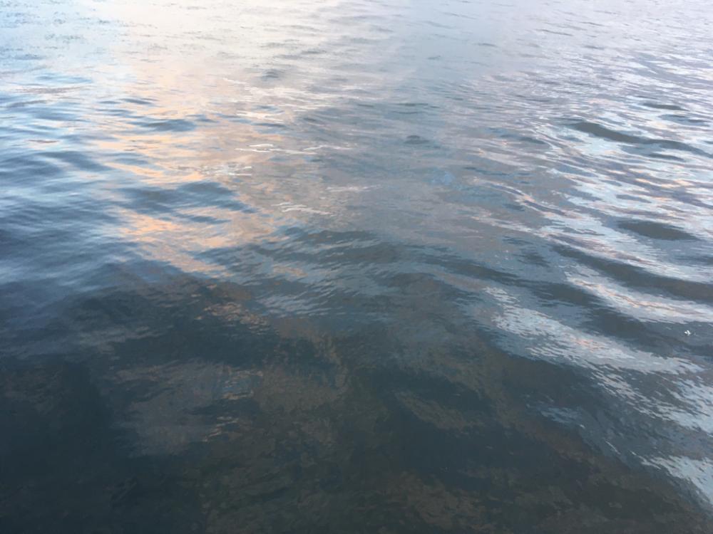 寒さに耐えてアジ