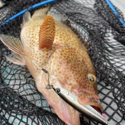 平戸近海スーパーライトジギング！