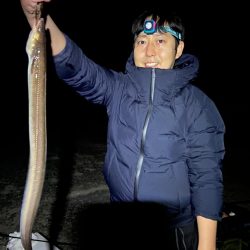 海の中でもハロウィンパーティー