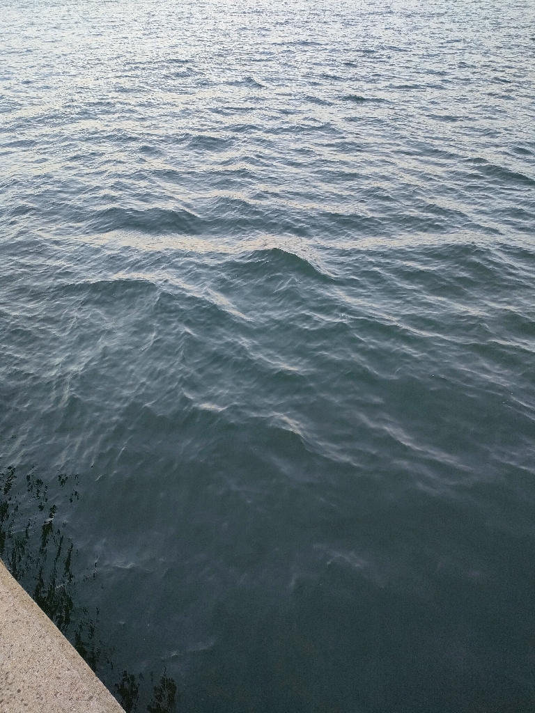 今シーズン2匹目サイズアップ