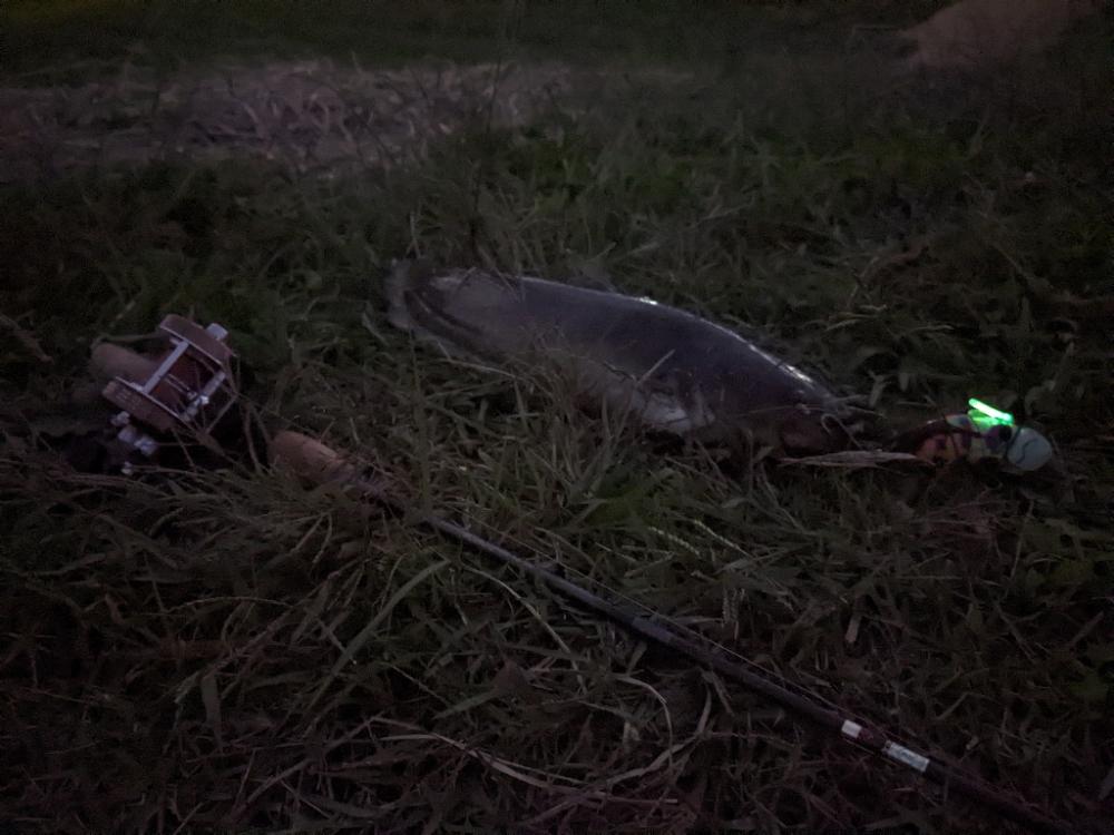 ポコポコ…バコ〜ン