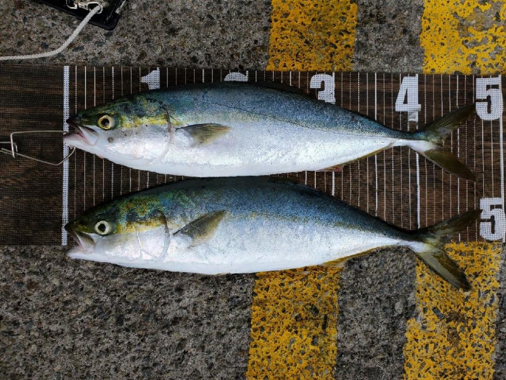 足ガクガク(。ŏ﹏ŏ)