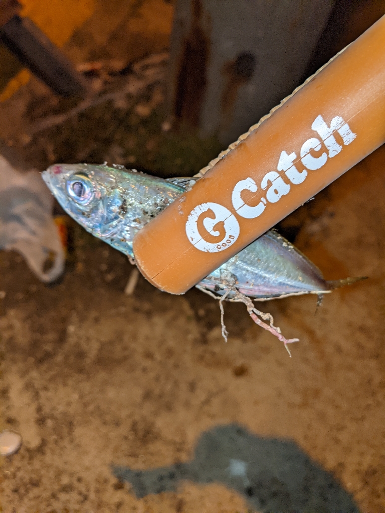 エステルラインの洗礼…