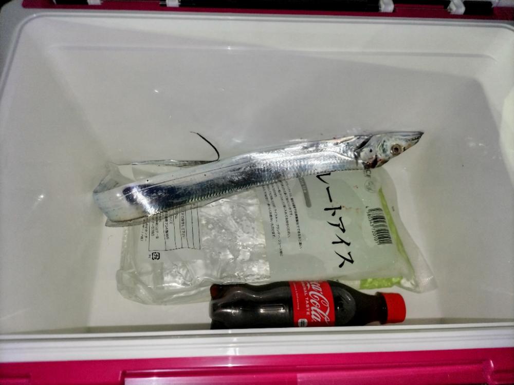 タチウオ渋すぎ