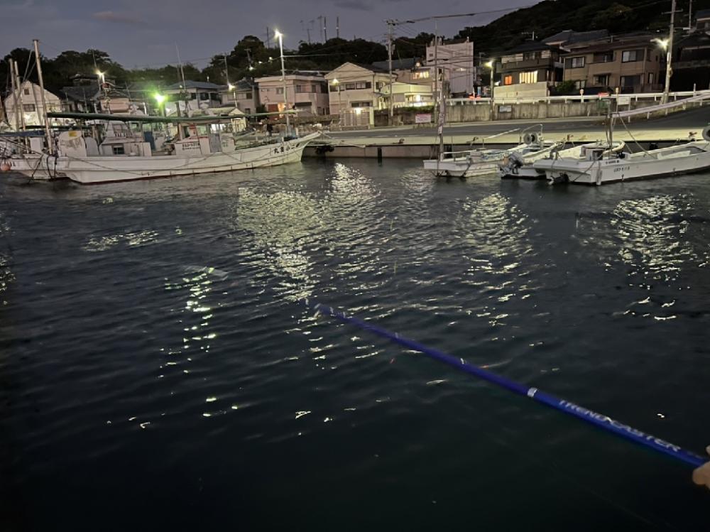 絶唱！！ど～言うこっちゃ～・・・(唖然)