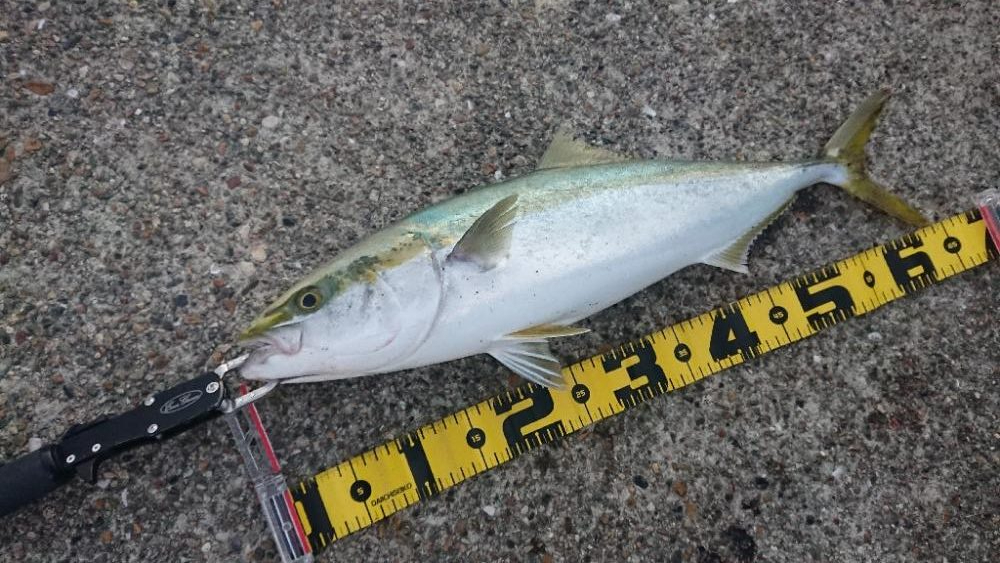 2022播磨遠征第2回