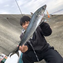 武庫川一文字サワラ