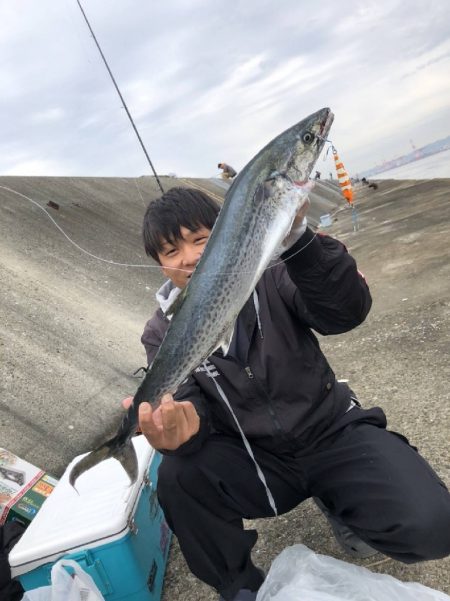 武庫川一文字サワラ