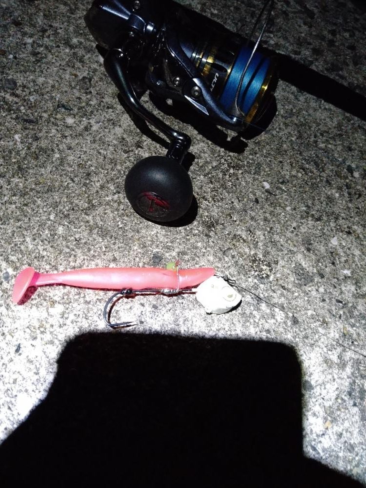 太刀魚4ヒット1バラシ