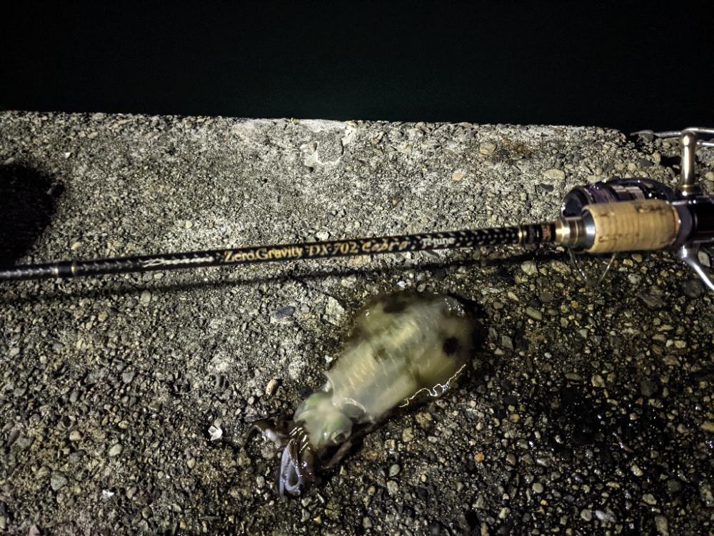 ババ荒れにて奔走も41杯(・x・*)♪