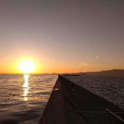 武庫川一文字で飲ませ釣りす