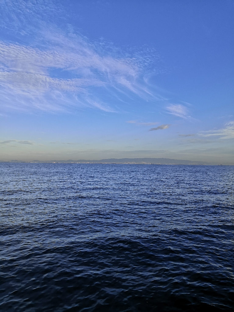 ショアジギングでメジロ