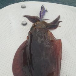 久しぶりのメンバーでボートエギング