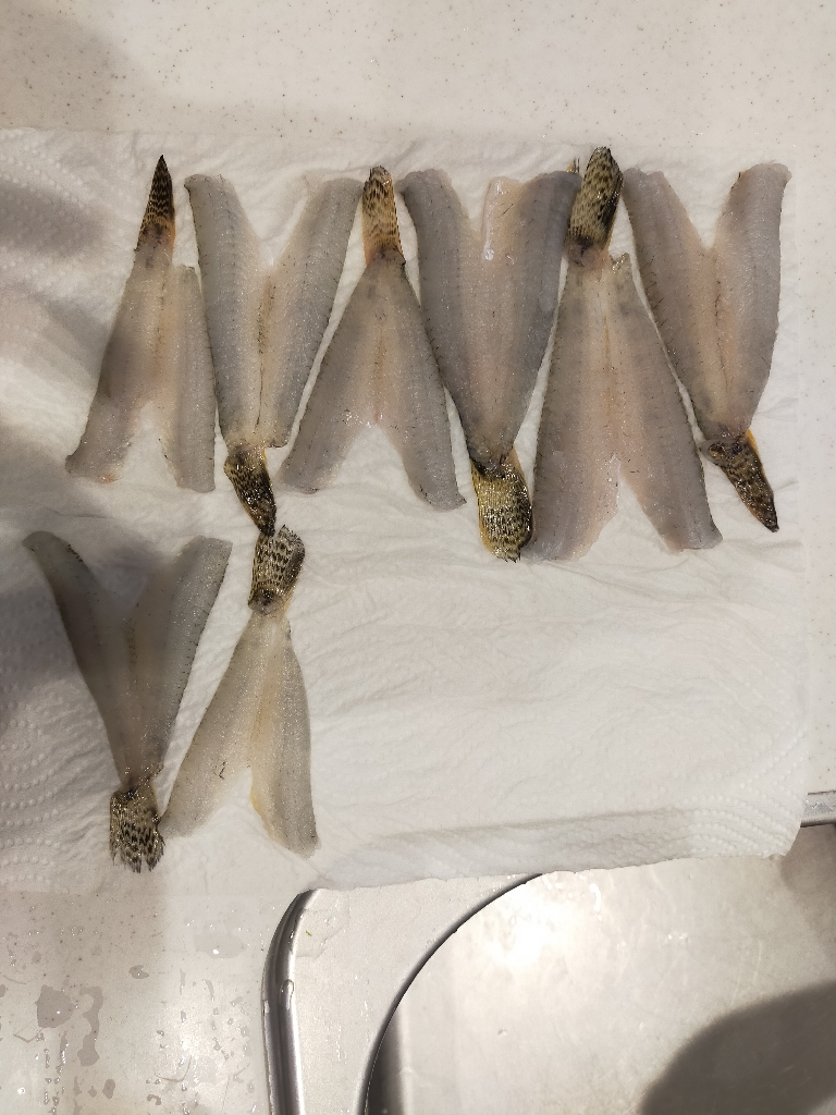 釣りデビューの本命は笑顔☺️