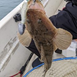 ボートキャスティング