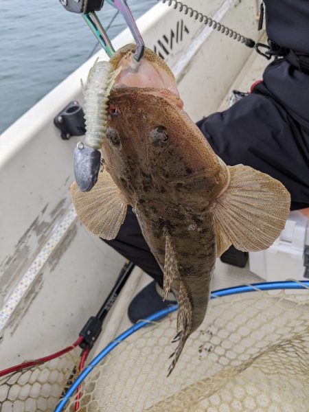 ボートキャスティング