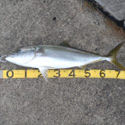 爆風の中でのショアジギング