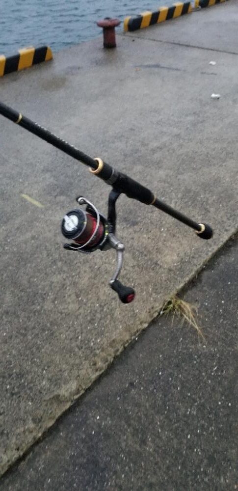 漁港エギング