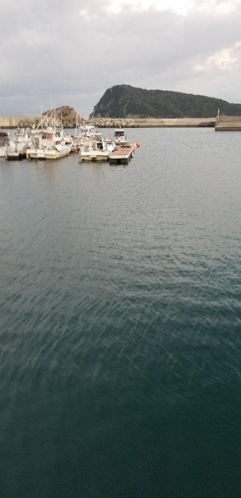 エギング　風を避けて