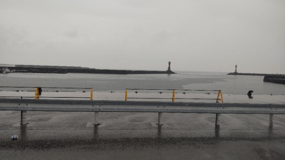 アジ探し@谷川周辺