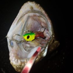 鉄板の赤金ワーム