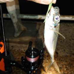 風速体感4m以上