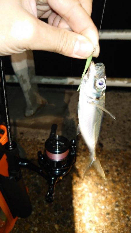 風速体感4m以上