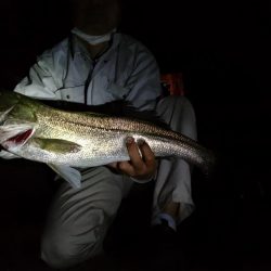 2バイト1バラし1キャッチ