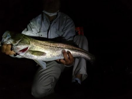 2バイト1バラし1キャッチ